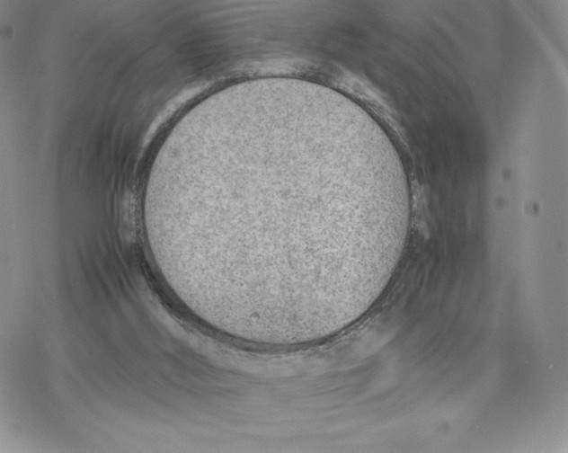 X0000077280012200611171614