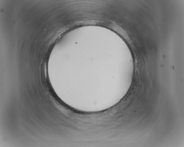 X0000077280013200611171614