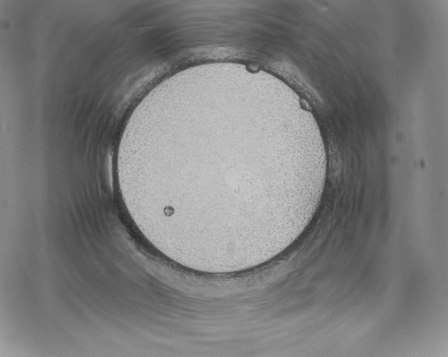 X0000077280014200611171613