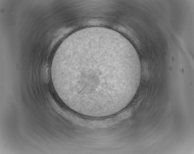 X0000077280016200611171613