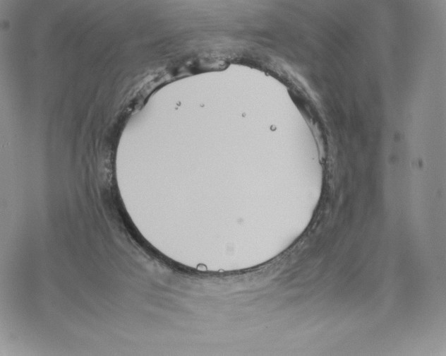 X0000077280017200611171613