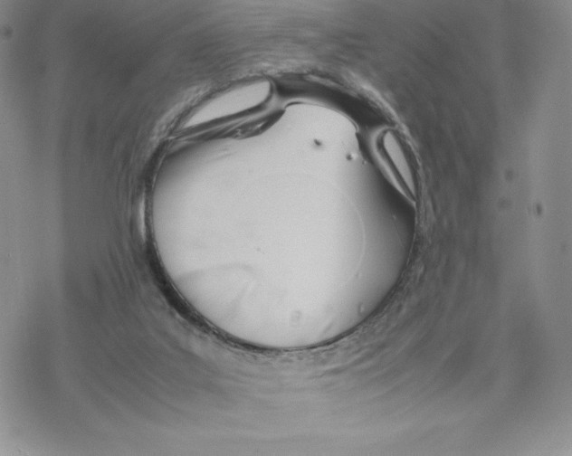 X0000077280019200611171613