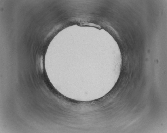 X0000077280020200611171613