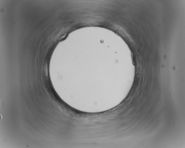 X0000077280021200611171613