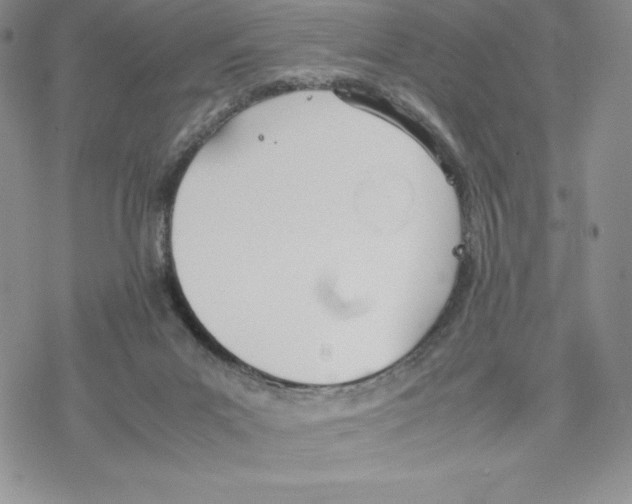 X0000077280023200611171613