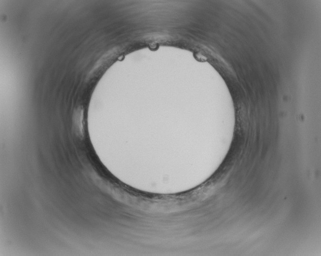 X0000077280024200611171613