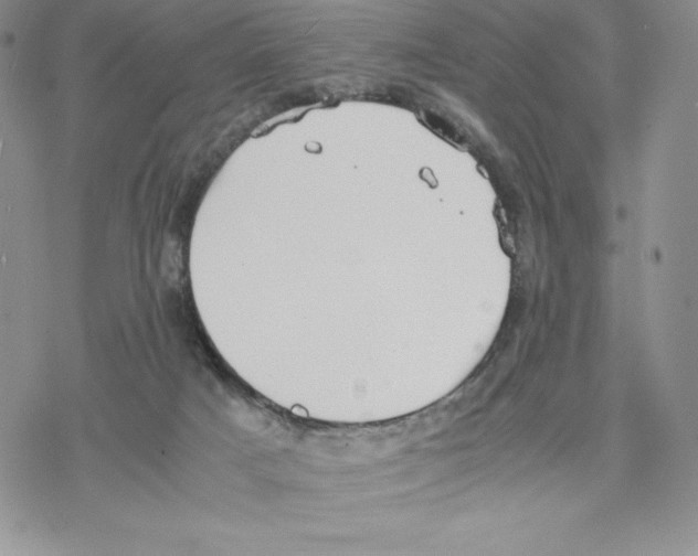 X0000077280025200611171613