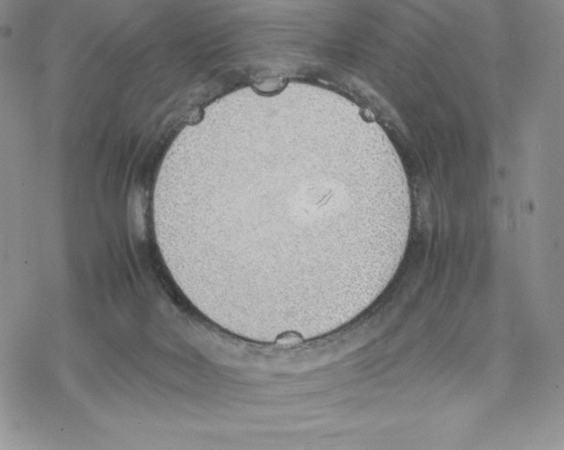 X0000077280026200611171613