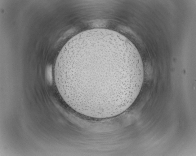 X0000077280028200611171613