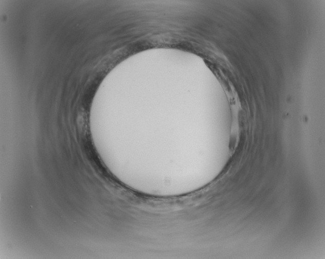 X0000077280029200611171613