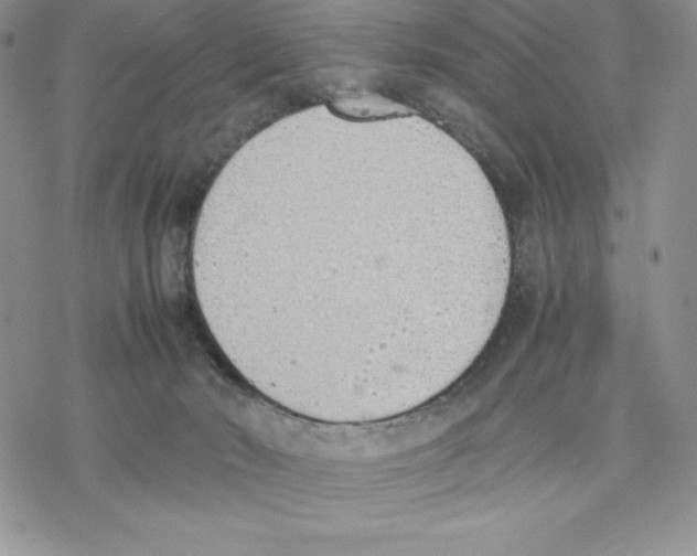 X0000077280030200611171613