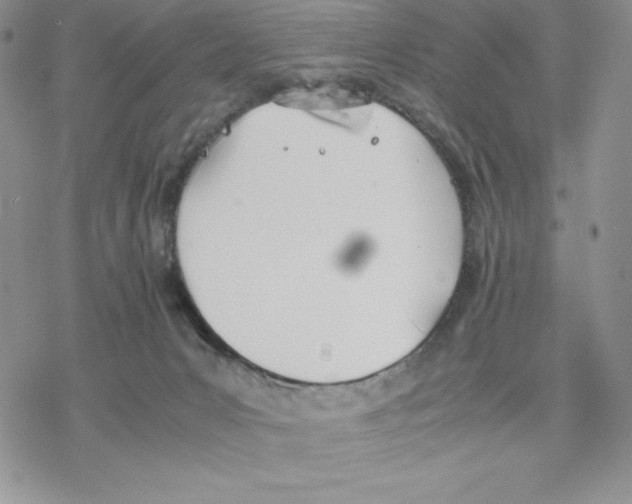 X0000077280031200611171613