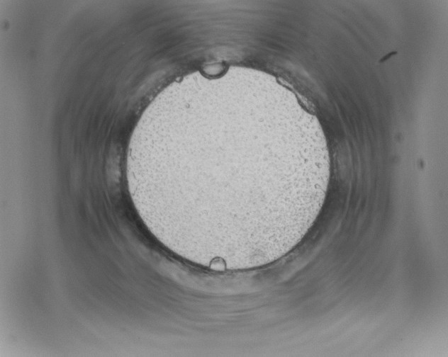 X0000077280032200611171613