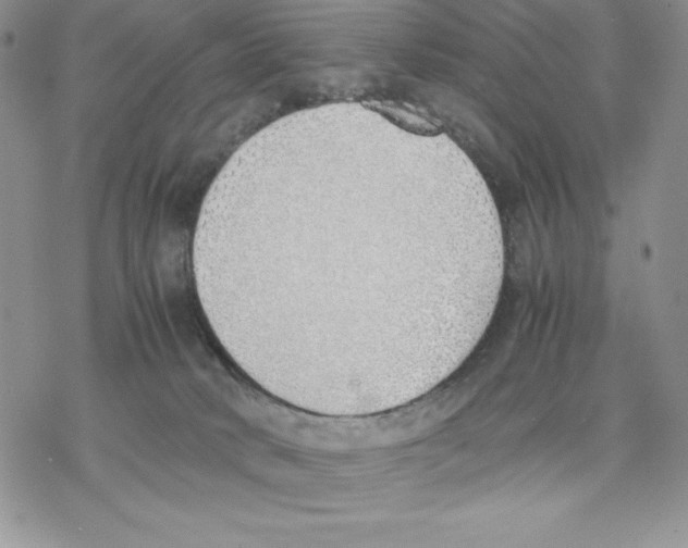 X0000077280034200611171613