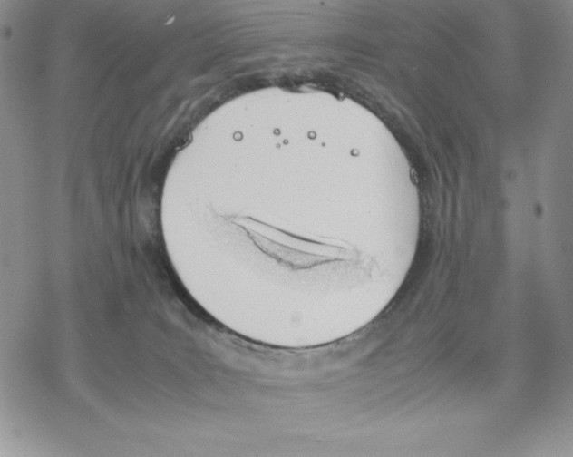 X0000077280035200611171613