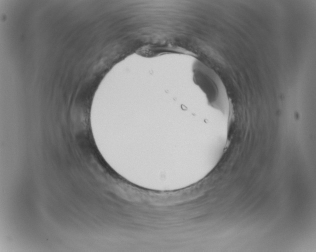 X0000077280039200611171613