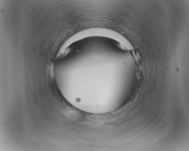 X0000077280041200611171613