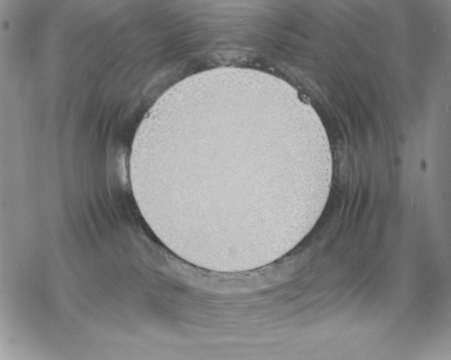 X0000077280042200611171613