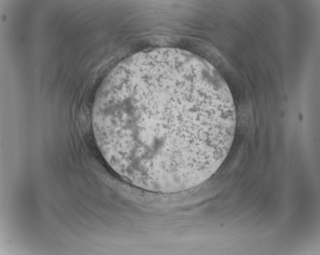 X0000077280043200611171613