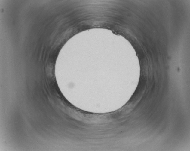 X0000077280044200611171613