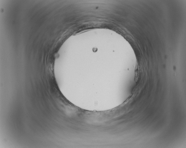 X0000077280045200611171613