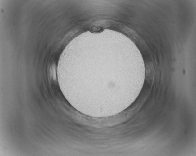 X0000077280046200611171613