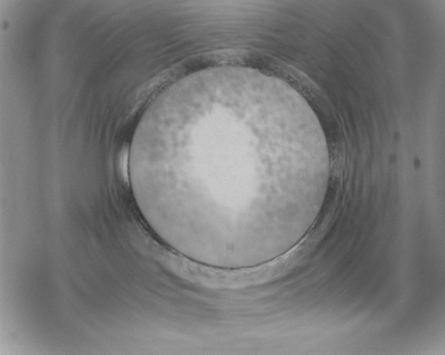 X0000077280047200611171613