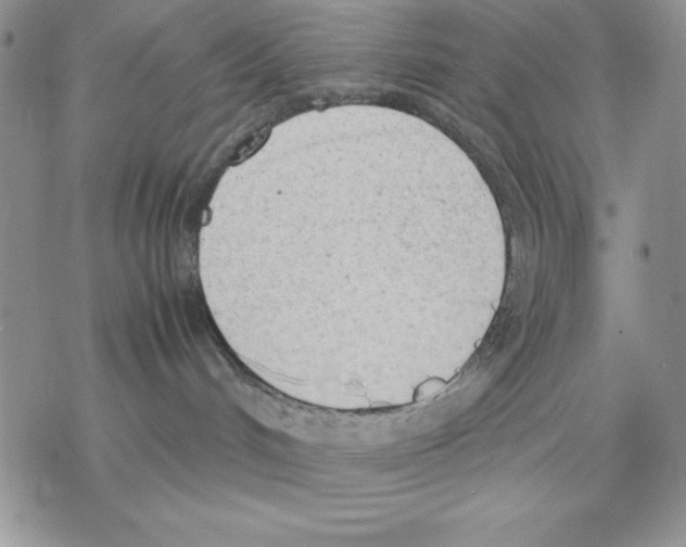 X0000077280048200611171613