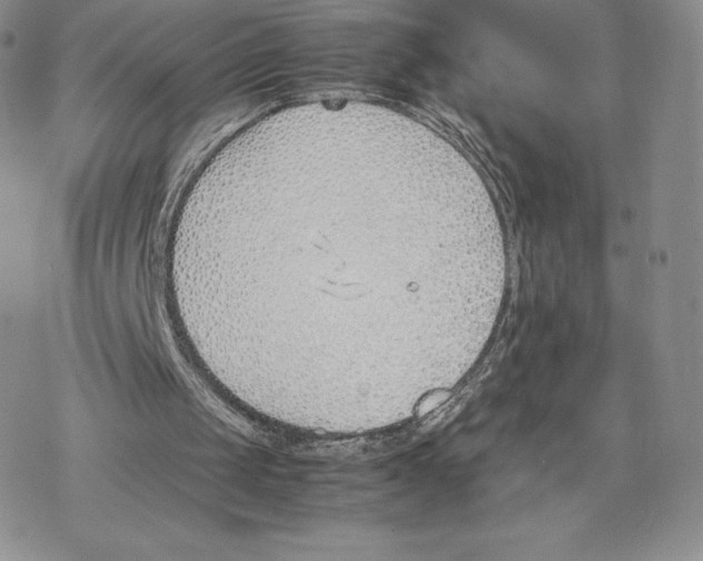 X0000077280049200611171612