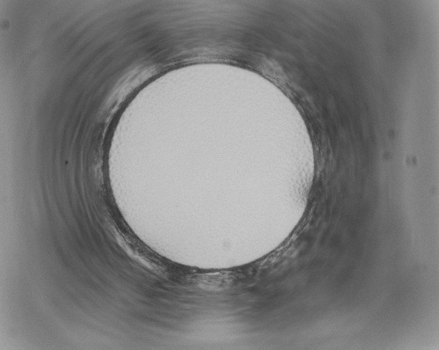 X0000077280050200611171612