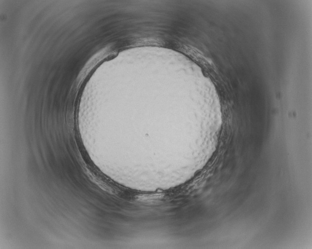 X0000077280051200611171612