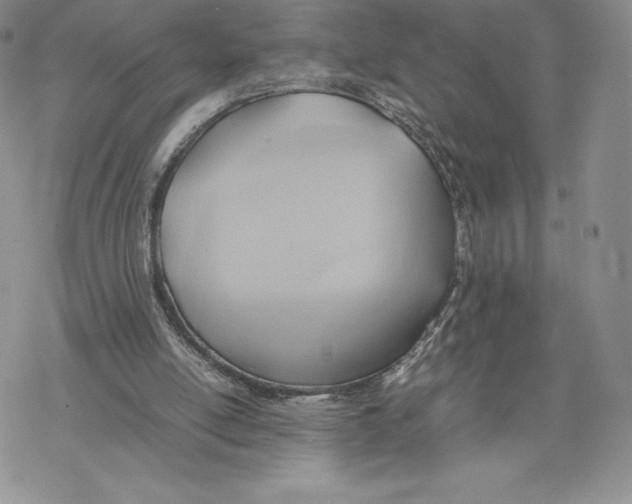 X0000077280054200611171612