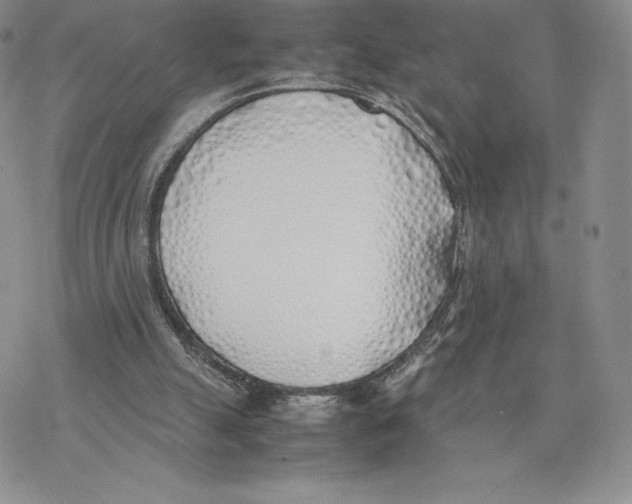 X0000077280055200611171612