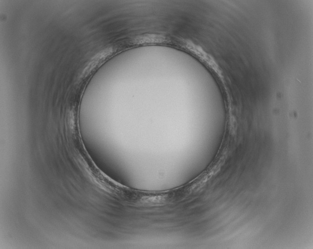 X0000077280057200611171612