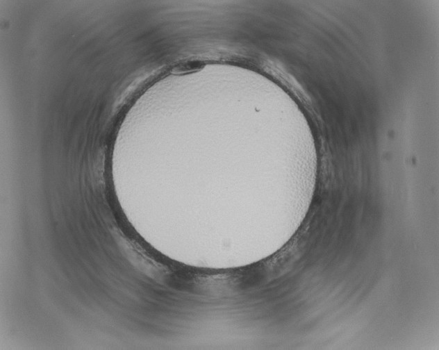 X0000077280058200611171612