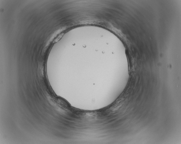 X0000077280060200611171612