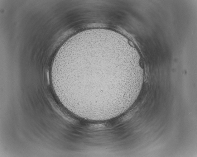 X0000077280061200611171612