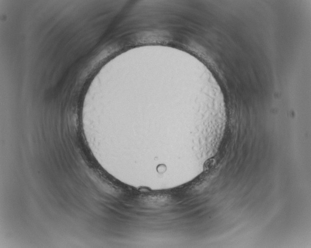 X0000077280063200611171612