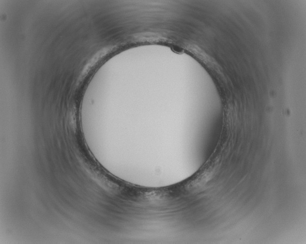 X0000077280064200611171612