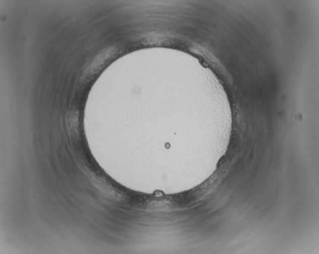 X0000077280066200611171612