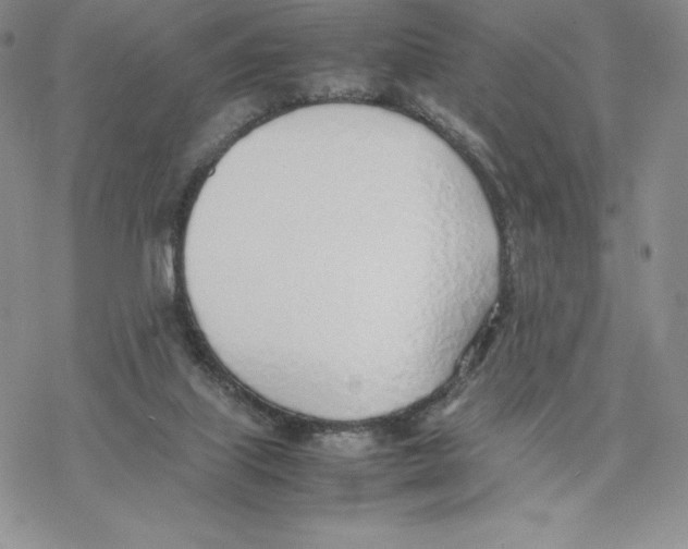 X0000077280067200611171612