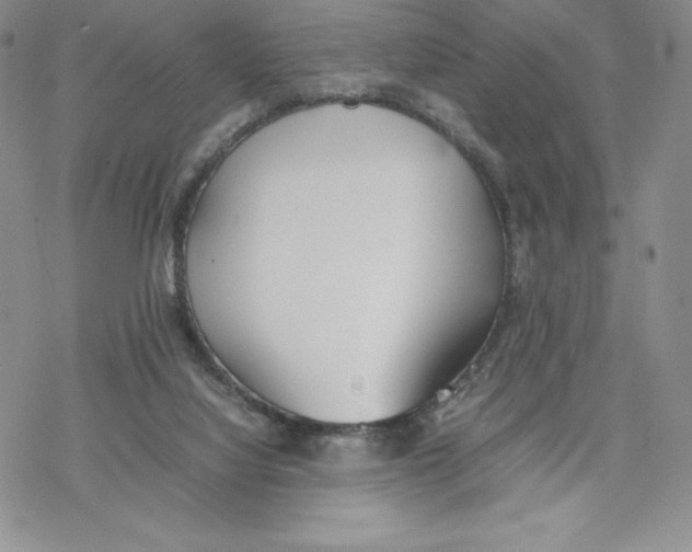 X0000077280068200611171612