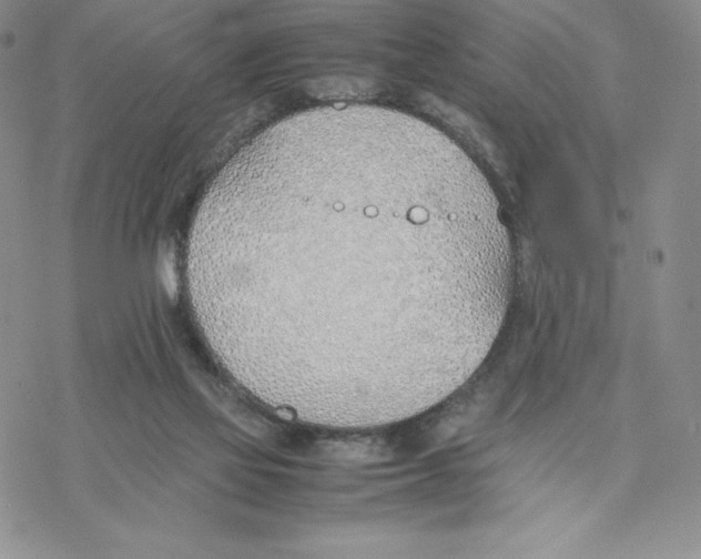 X0000077280069200611171612