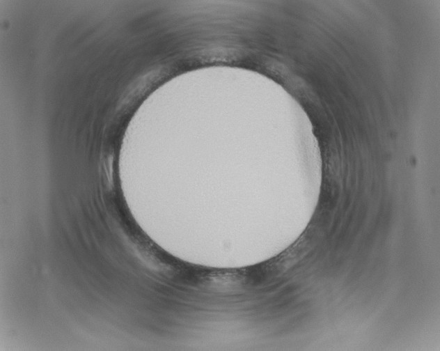 X0000077280070200611171612