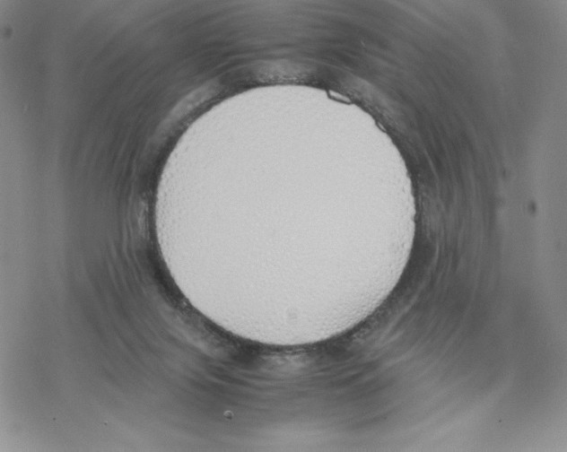 X0000077280071200611171612