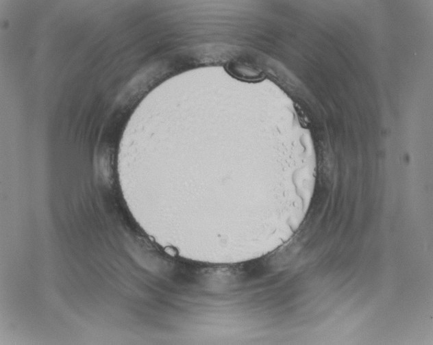 X0000077280074200611171613