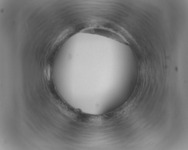 X0000077280076200611171613