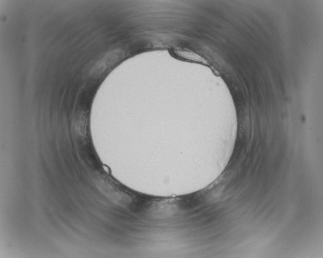 X0000077280078200611171613