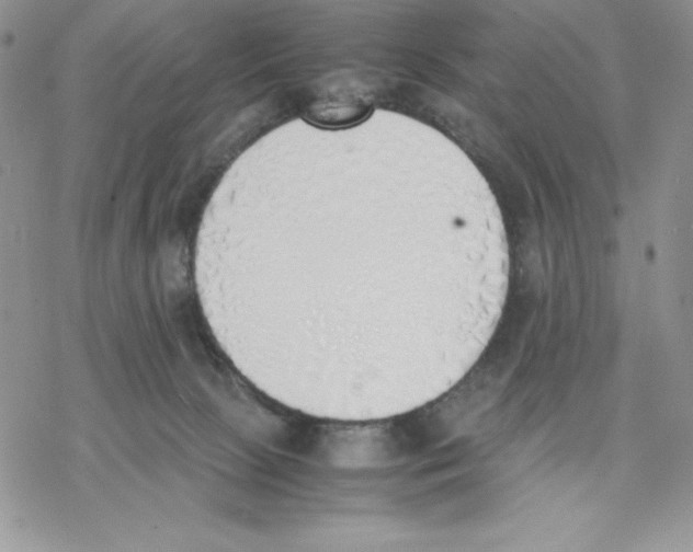 X0000077280081200611171613