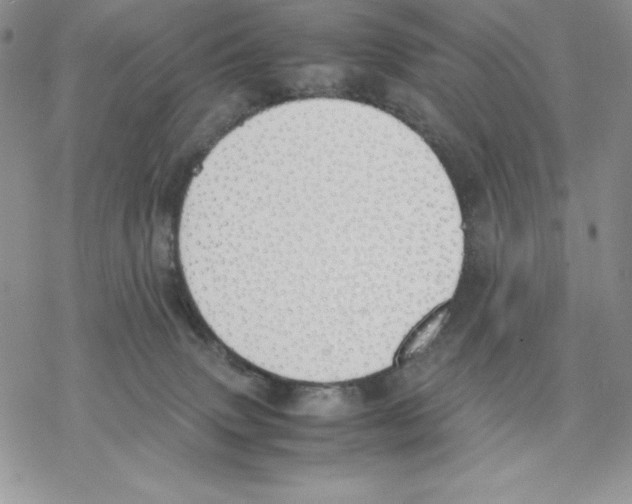 X0000077280083200611171613